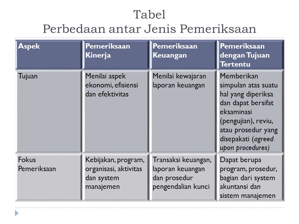 14 Contoh Laporan Hasil Pemeriksaan Audit Kinerja My Makalah